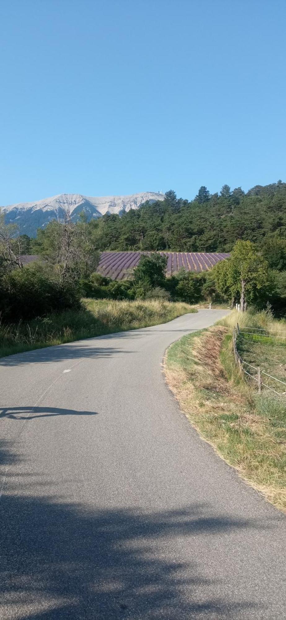 Studio Tout Confort En Provence Mont Ventoux. Bédoin Eksteriør bilde
