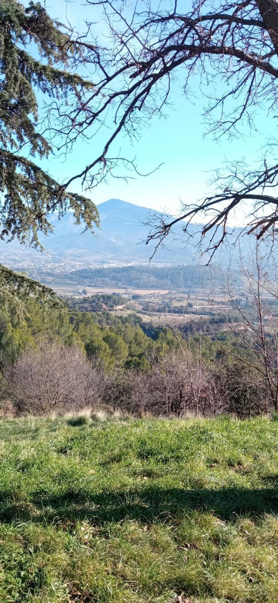 Studio Tout Confort En Provence Mont Ventoux. Bédoin Eksteriør bilde