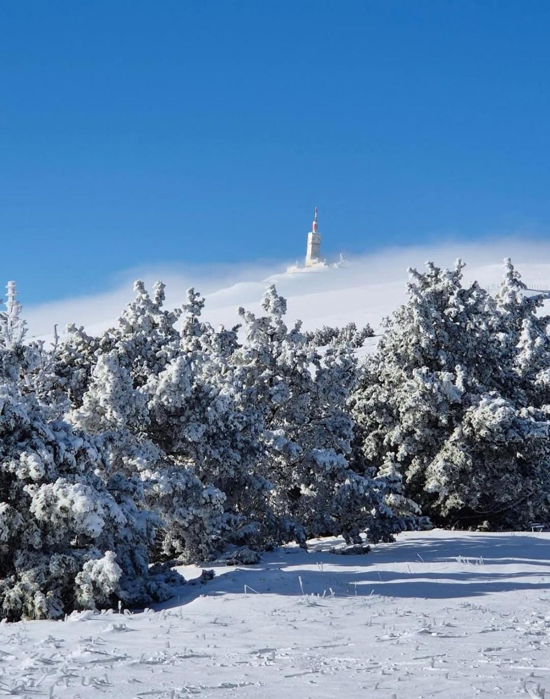 Studio Tout Confort En Provence Mont Ventoux. Bédoin Eksteriør bilde