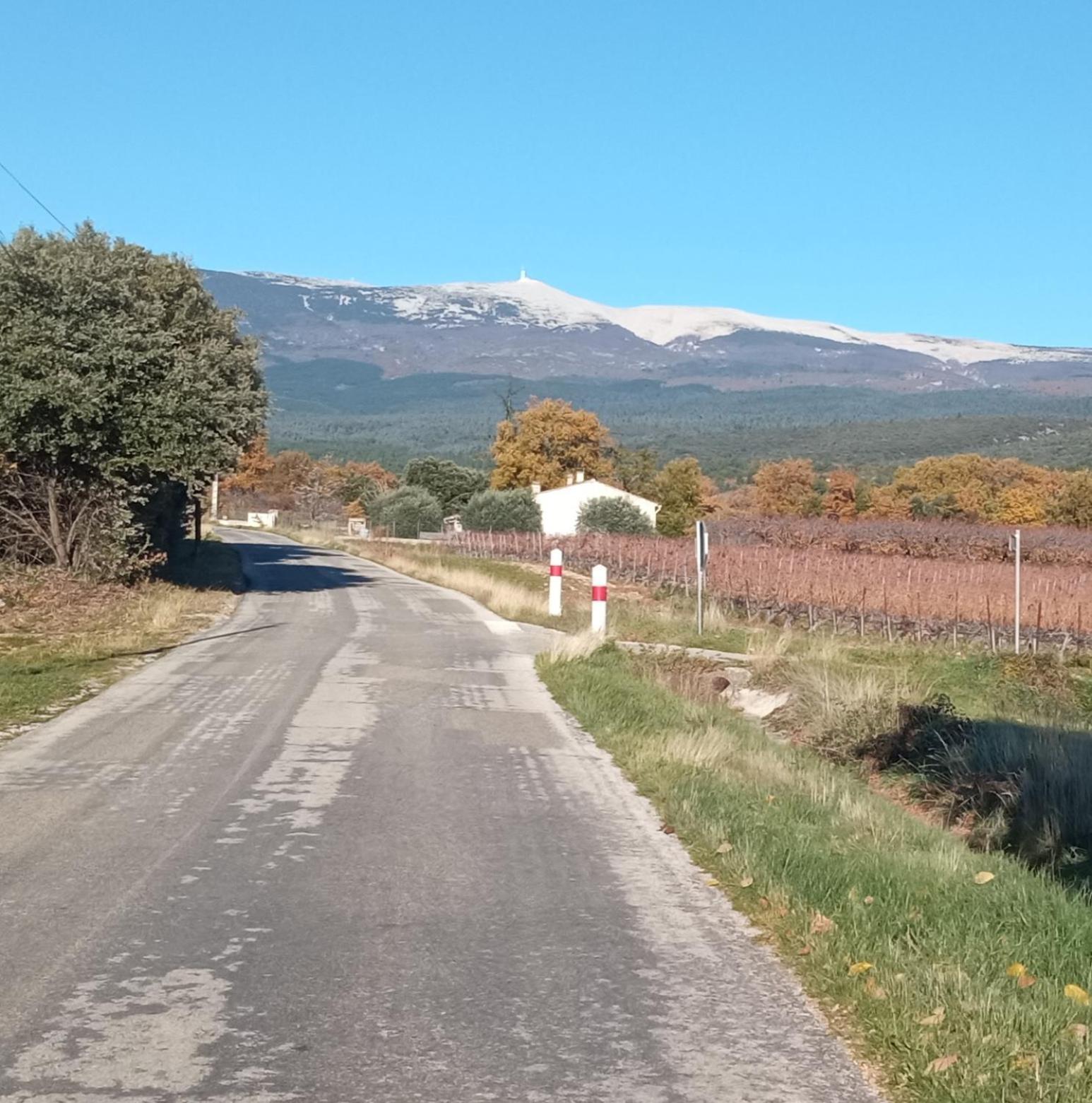 Studio Tout Confort En Provence Mont Ventoux. Bédoin Eksteriør bilde